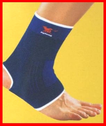 Ankle protector